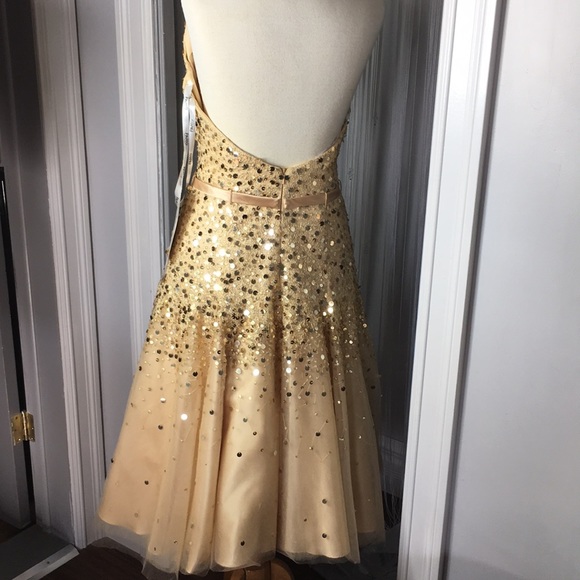 Prom Gown / New Year’s Gown - Picture 4 of 4